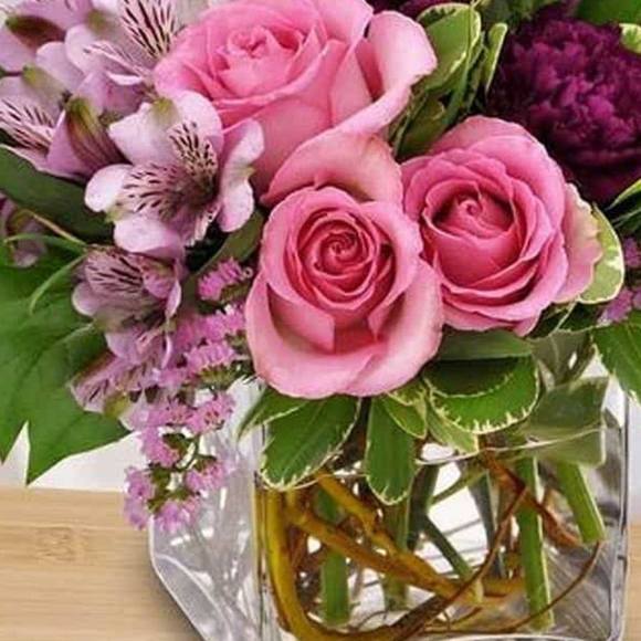 Meet your Posher, Patricia - Picture 1 of 1